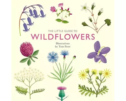 The Little Guide to Wildflowers