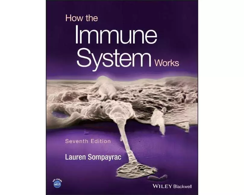 How the Immune System Works