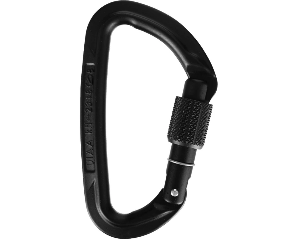 Wild Country Carabiner Session Screw Gate Schwarz