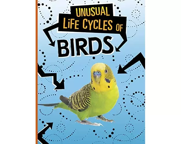 Unusual Life Cycles of Birds