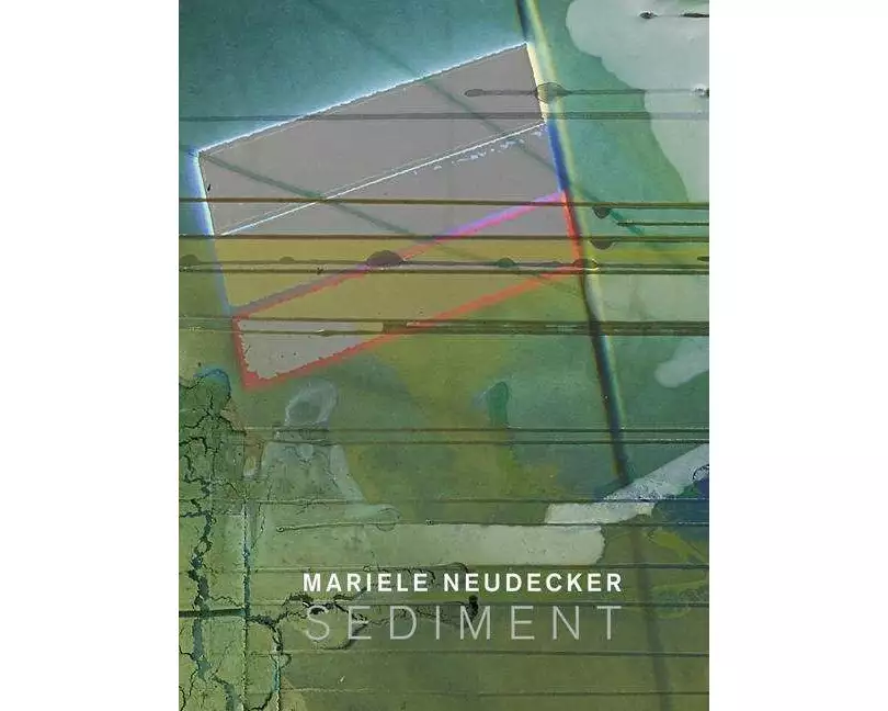 Mariele Neudecker - Sediment