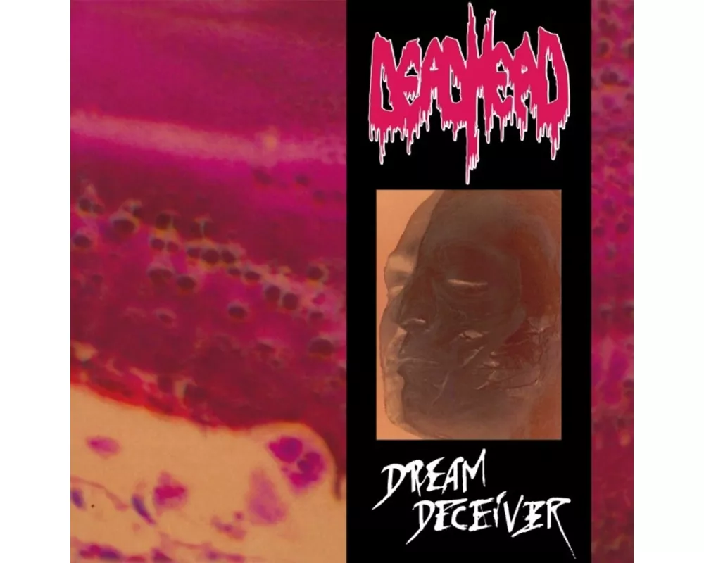 Dream Deceiver