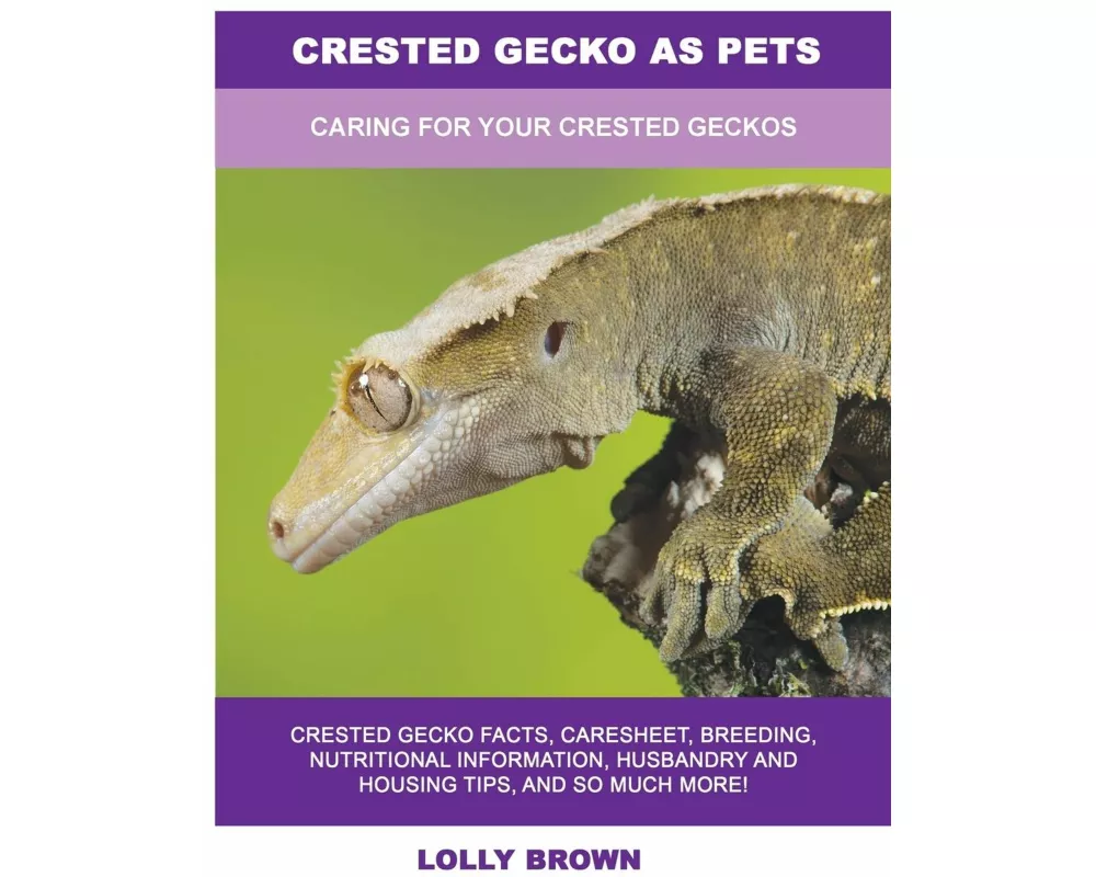 Crested Gecko as Pets: Caring For Your Crested Geckos