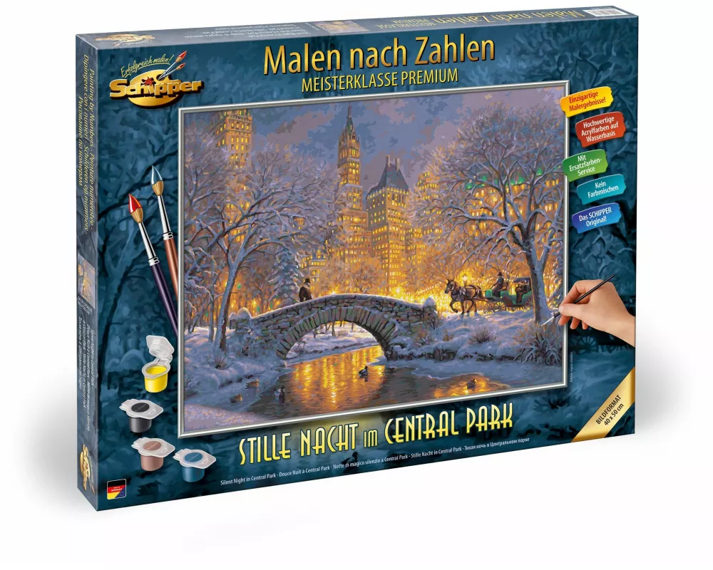 Malen nach Zahlen - Stille Nacht im Central Park