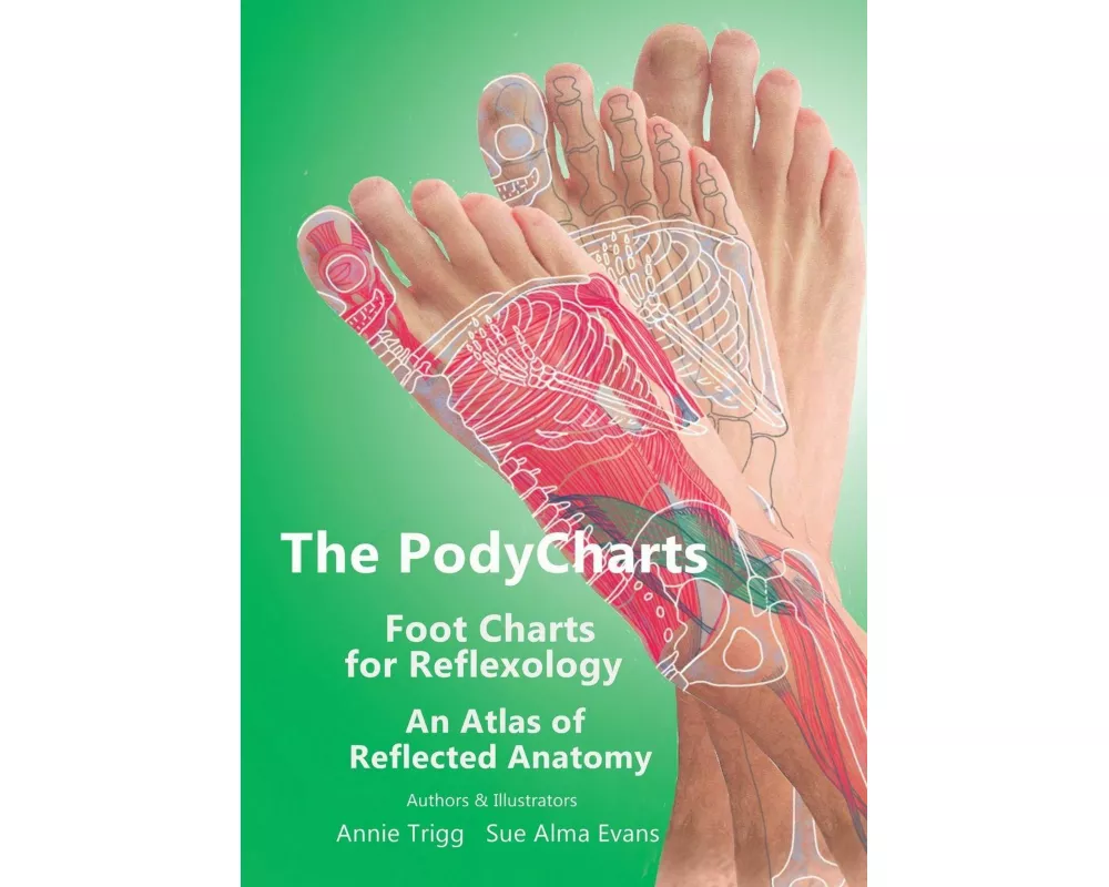 The PodyCharts foot charts for reflexology