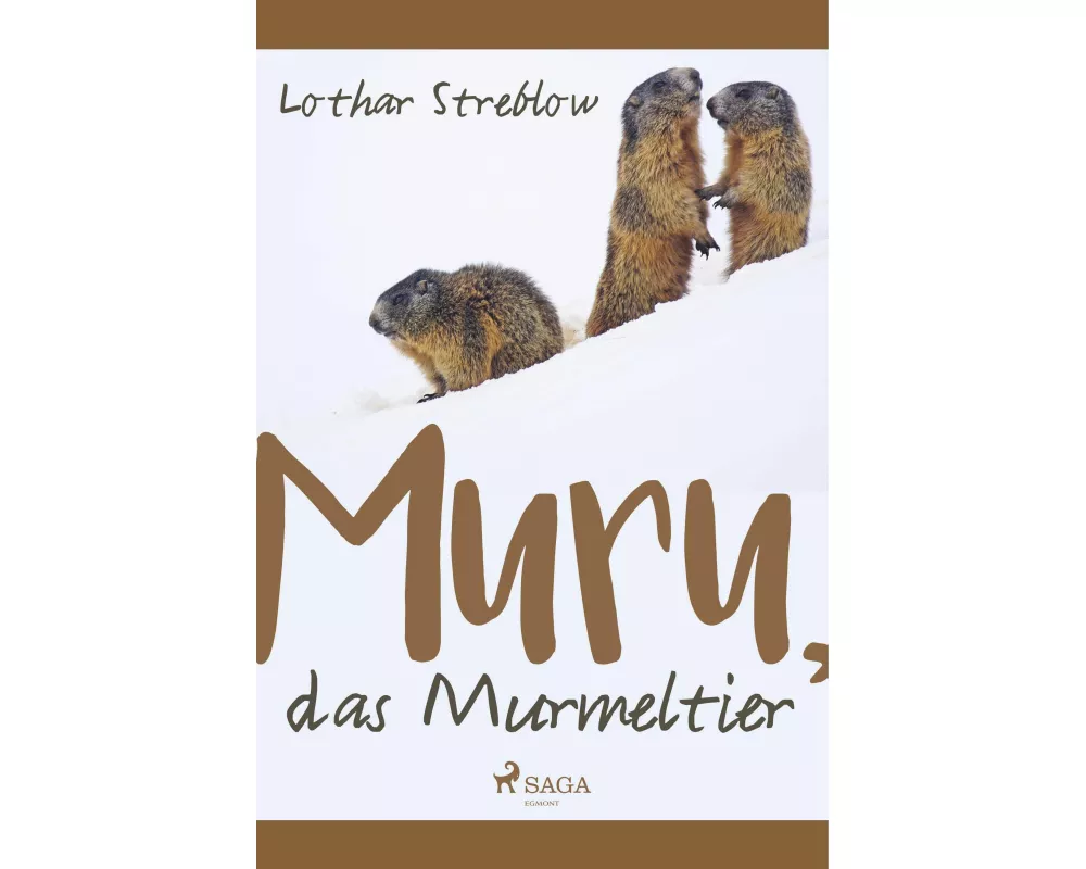 Murru, das Murmeltier
