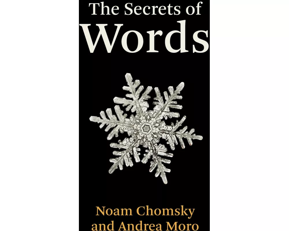 The Secrets of Words
