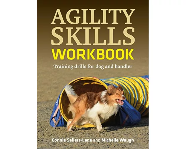 Agility Skills Workbook