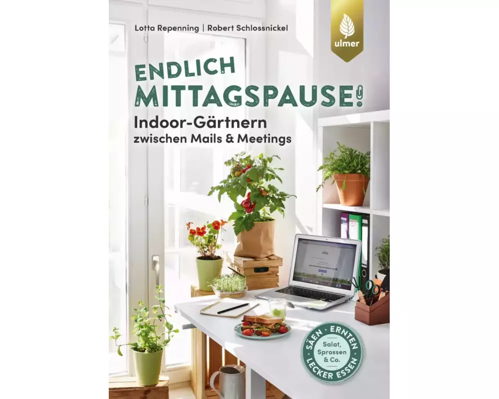 Endlich Mittagspause! Indoor-Gärtnern zwischen Mails und Meetings mit Pflücksalat, Sprossen & Co