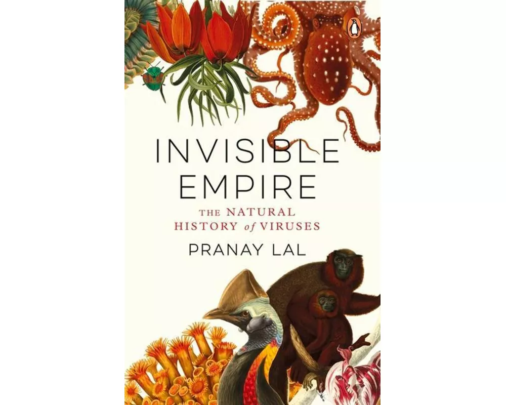 Invisible Empire