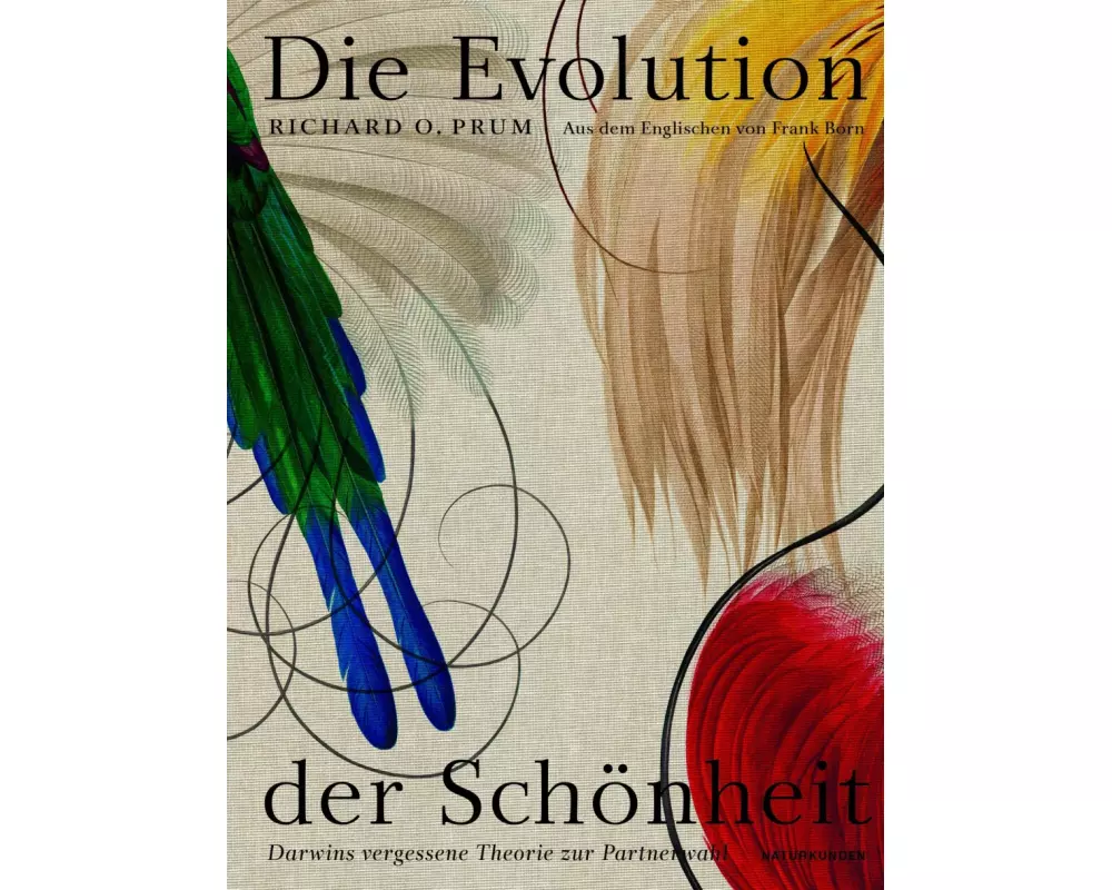 Die Evolution der Schönheit