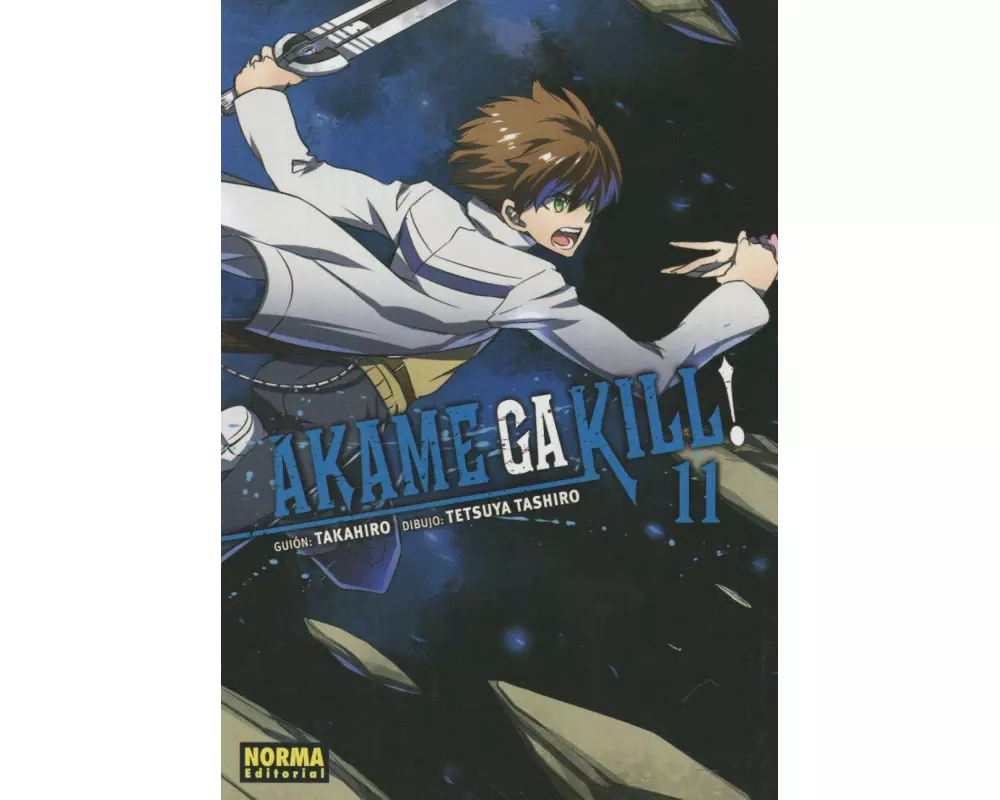 Akame ga kill! 11