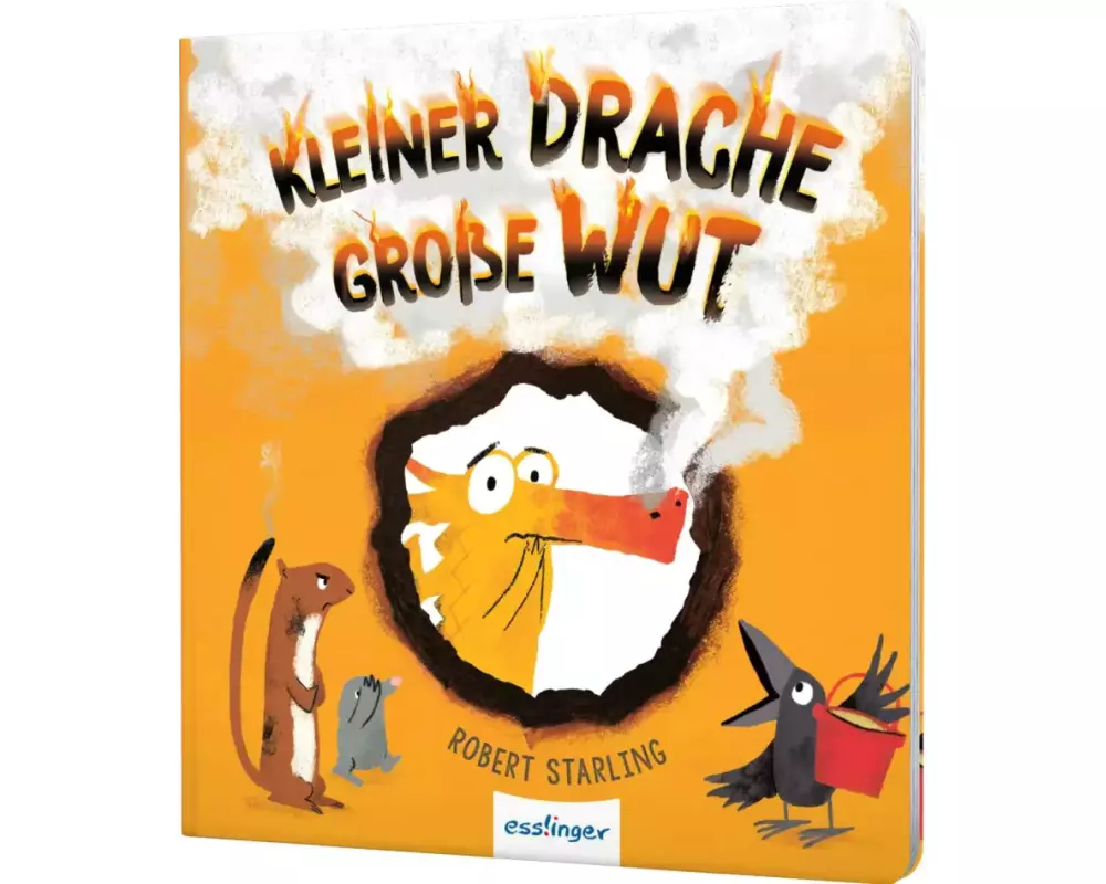 Kleiner Drache Finn: Kleiner Drache, große Wut