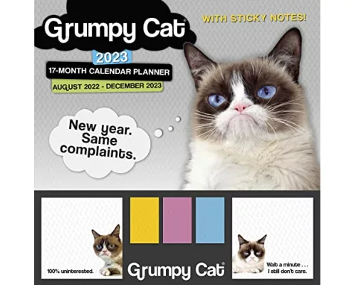 Grumpy Cat Its All Downhill From Here