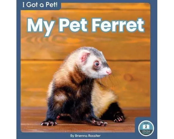My Pet Ferret