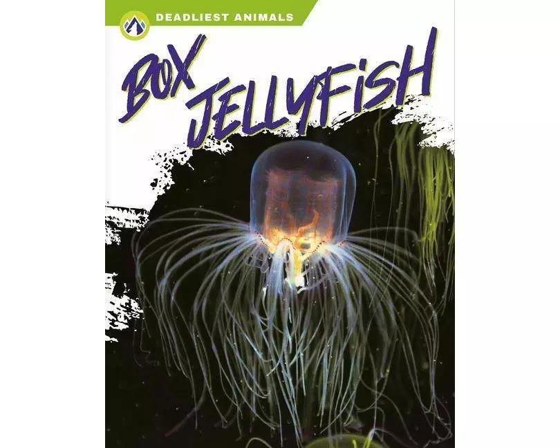 Box Jellyfish