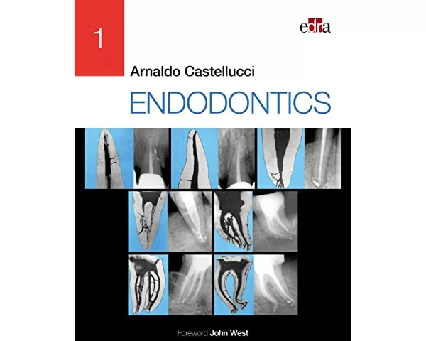 ENDODONTICS - 2 Volume Set