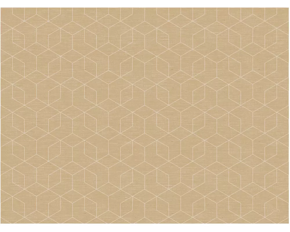 Duni Tischset Bio DC Graphics 100 Stück, 30 cm x 40 cm, Nature