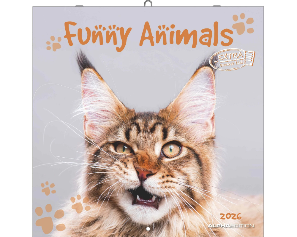 ALPHA EDITION Bildkalender 2026 160630 Funny Animals ML 30x30cm