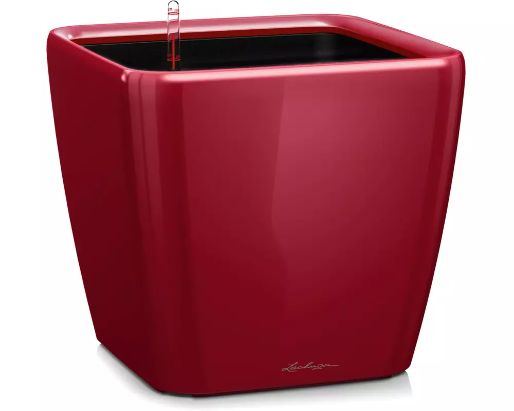 Lechuza Pflanzentopf Quadro Premium 21 LS Rot