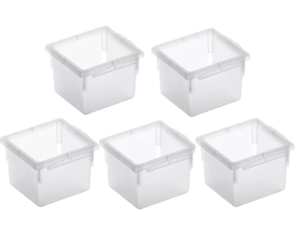 Rotho Ordnungssystem Basic 5, Stück, 8 x 8 cm Transparent