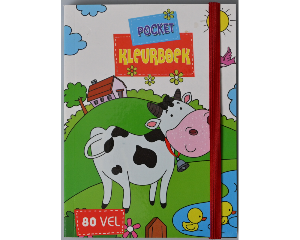 ROOST Taschen Malbuch B0582 2 assortiert 10x13,8cm