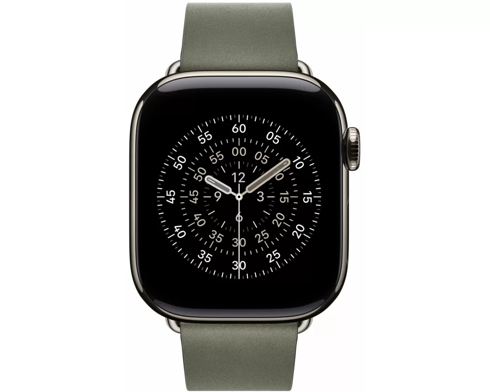 Apple Modern Buckle 42 mm Sage Gray Medium