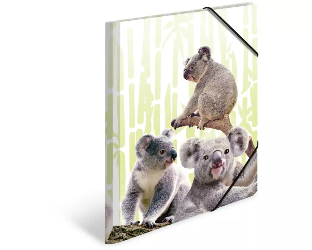 HERMA Gummibandmappe Koala A4, Mehrfarbig