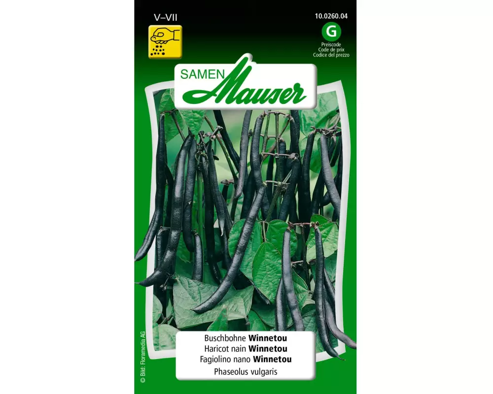 Samen Mauser Samen Buschbohne Winnetou