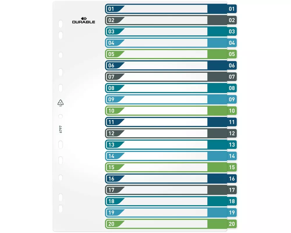 DURABLE Register A4+, 1-20, 5-farbig