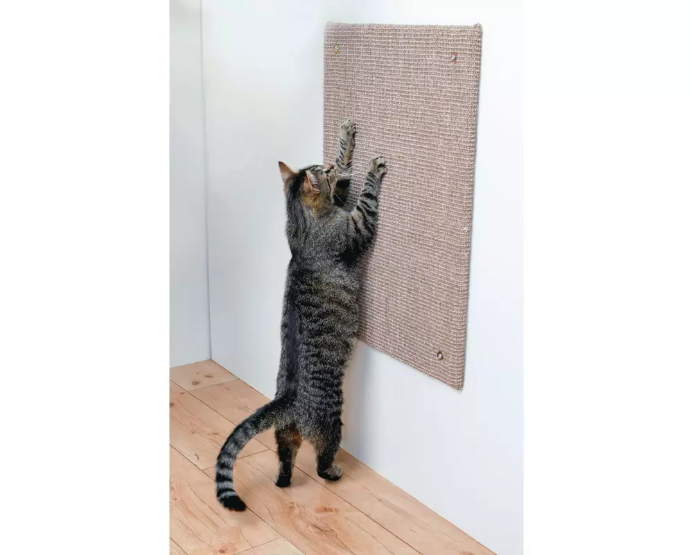 Trixie Kratzbrett XL