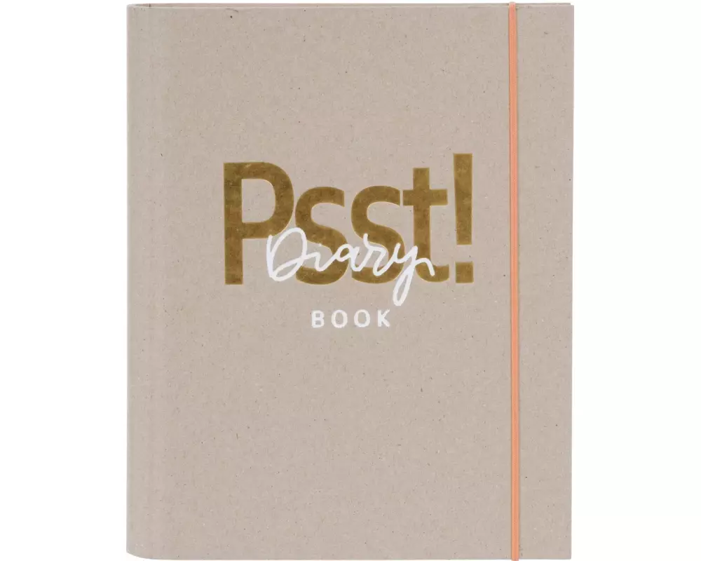 Goldbuch Ringbuch Diary Braun