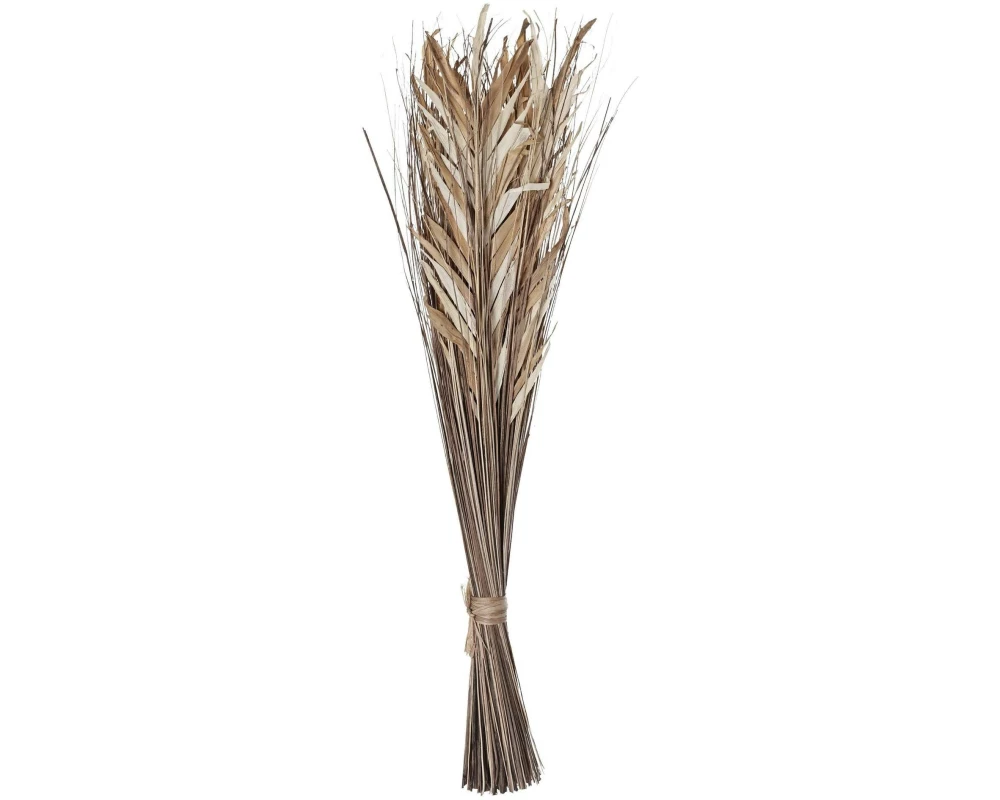 EGLO Trockenblume Braun 17 x 60 x 100 cm