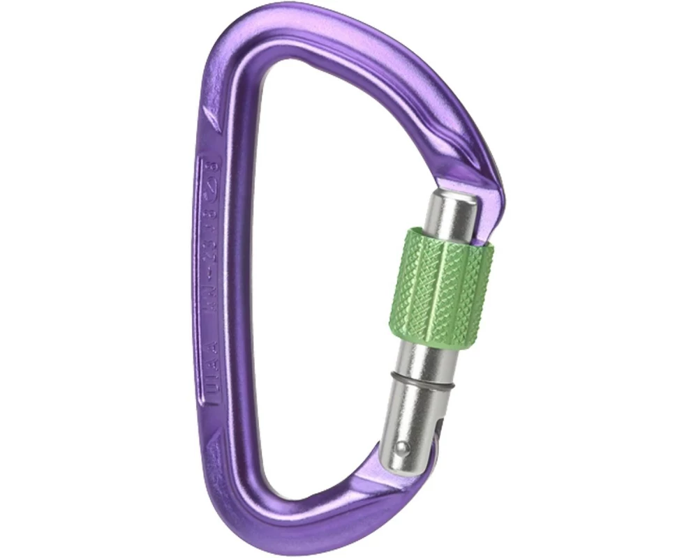 Wild Country Carabiner Session Screw Gate Lila