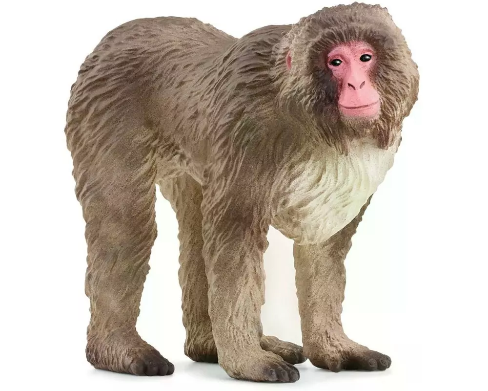 Schleich Spielzeugfigur Wild Life Japanmakak