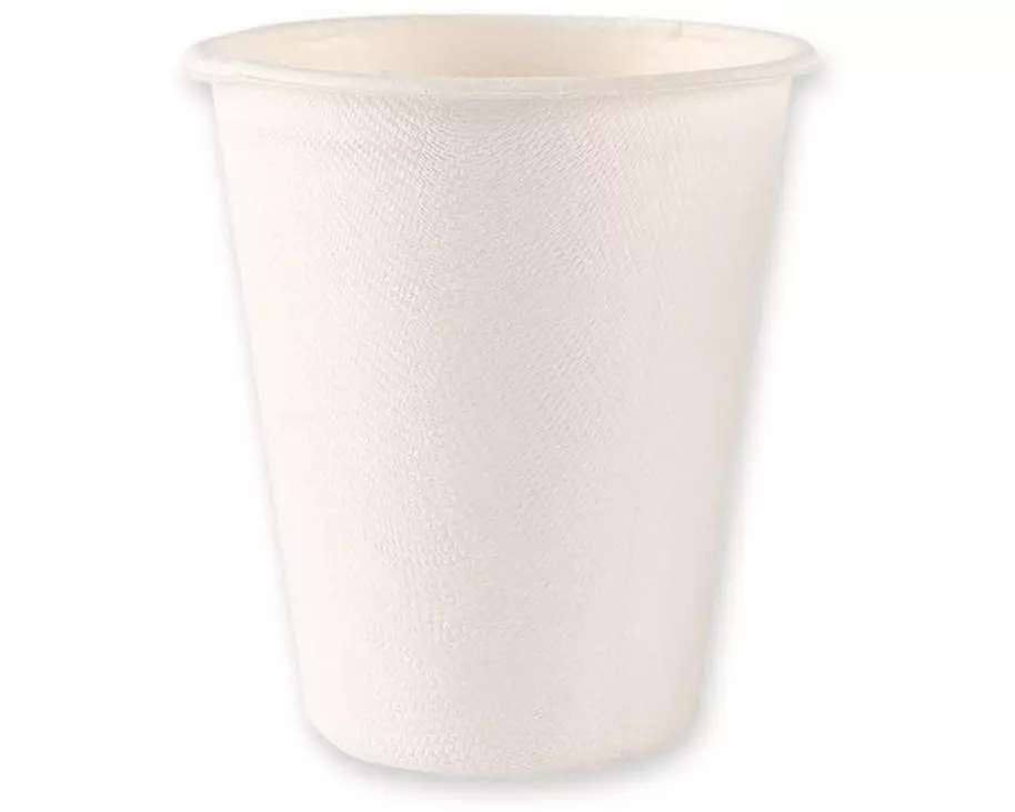 Webstar Zuckerrohrbecher 50 Stück