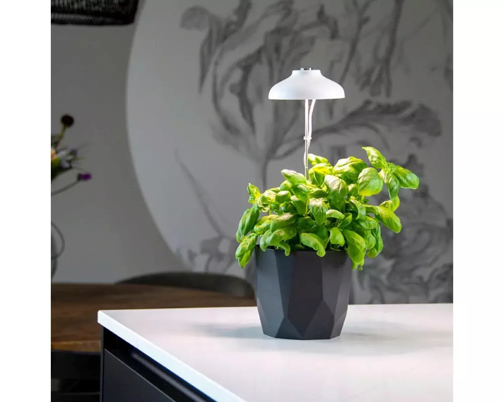 Esschert Design Pflanzenlampe LED Weiss höhenverstellbar USB