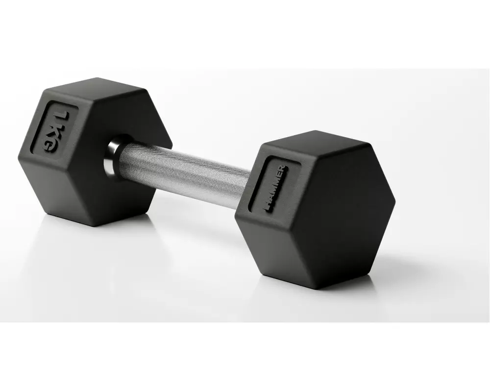 HAMMER Kurzhantel Hexagon PRO 1 x 1 kg