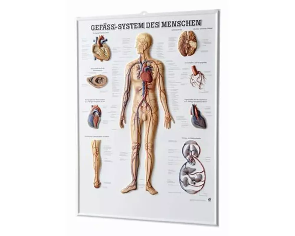 Rüdiger Relief-Tafel - 3D Poster 54 x 74 cm