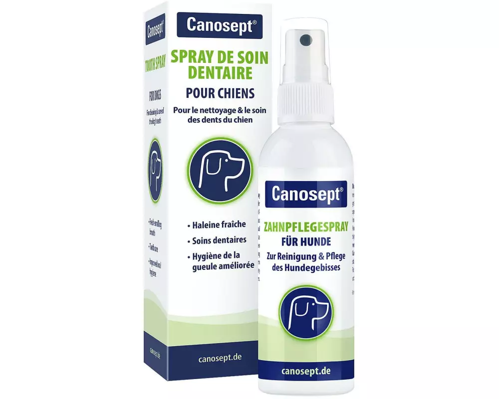 Canosept Zahnreinigung Zahnpflegespray 100 ml