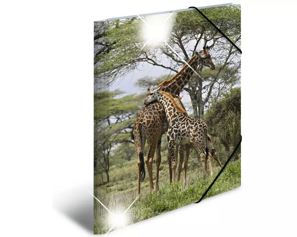 HERMA Gummibandmappe A3 Giraffe, Polypropylen, mit Innendruck
