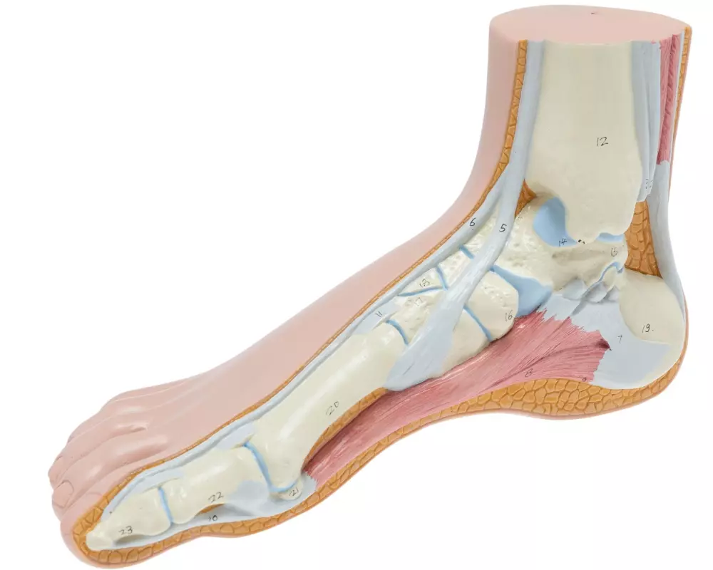 Rüdiger Modell Normalfuss