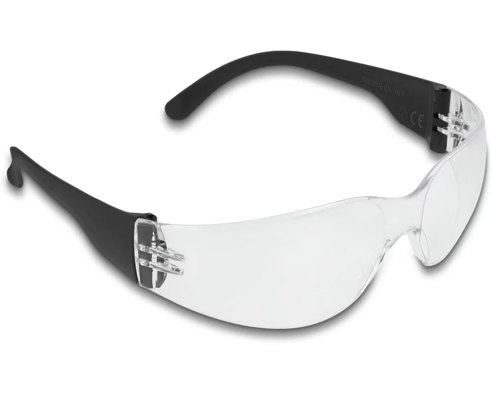 Delock Schutzbrille Sichtscheiben klar, inklusiv Brillentasche Klar