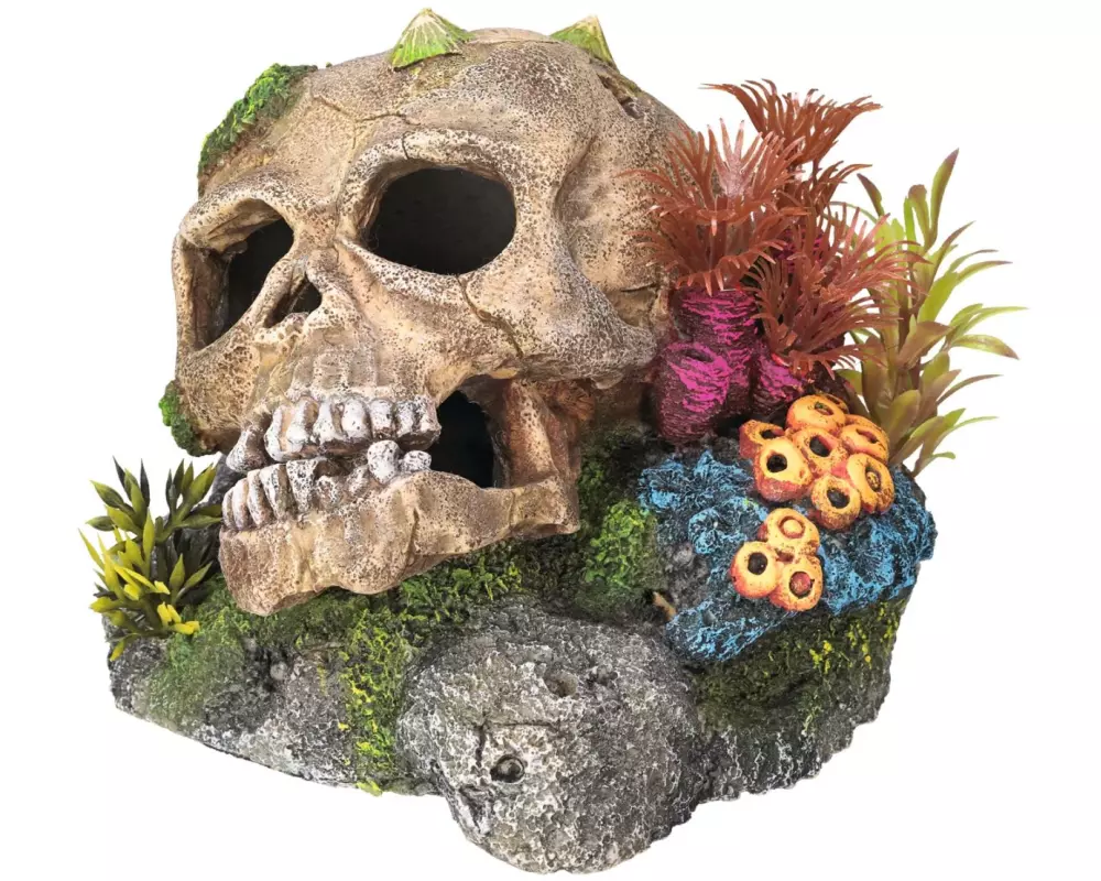 Nobby Aqua Ornaments Totenkopf mit Pflanzen, 13.5 x 13.5 x 10.5 cm