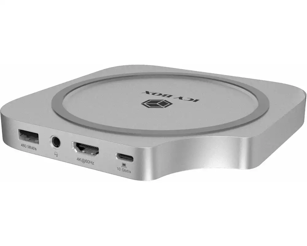 ICY BOX Dockingstation Club Dock 100