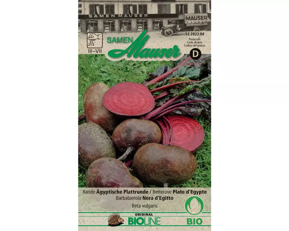 Samen Mauser Samen Rande Ägyptische Plattrunde