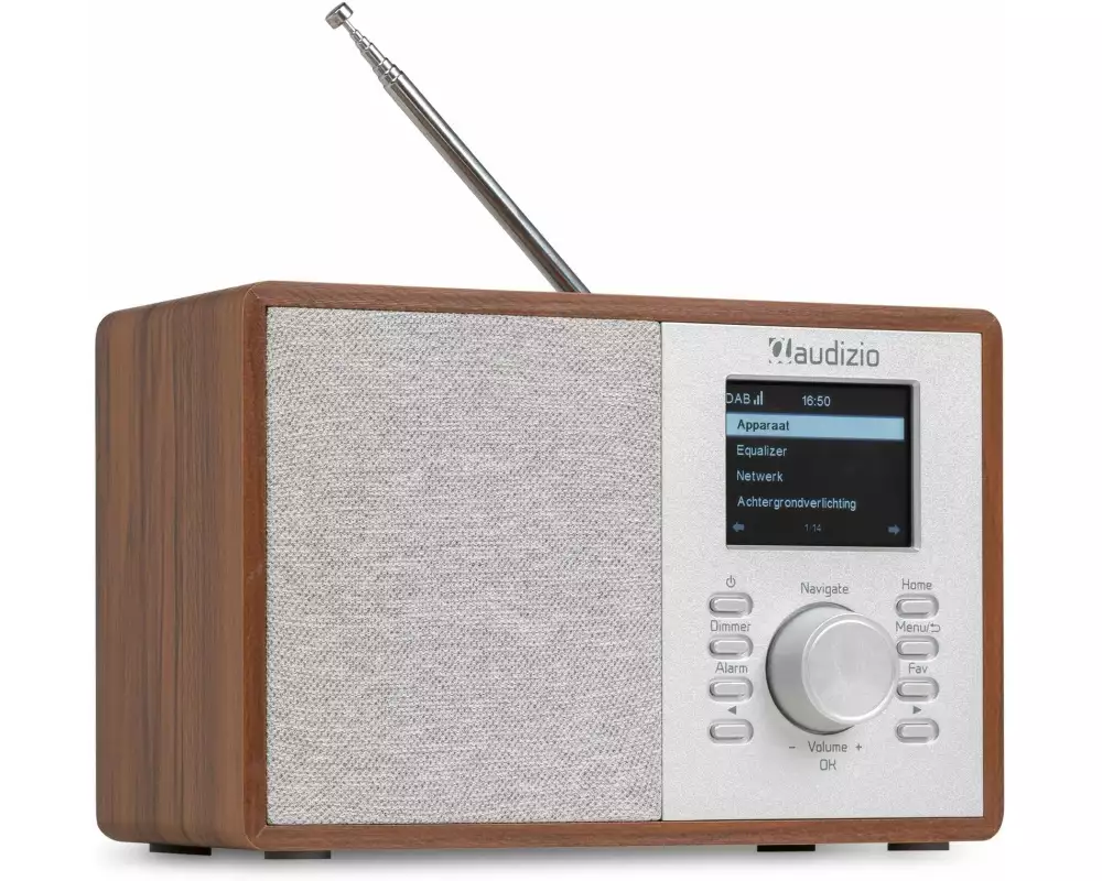 Audizio Cosa-WD Braun