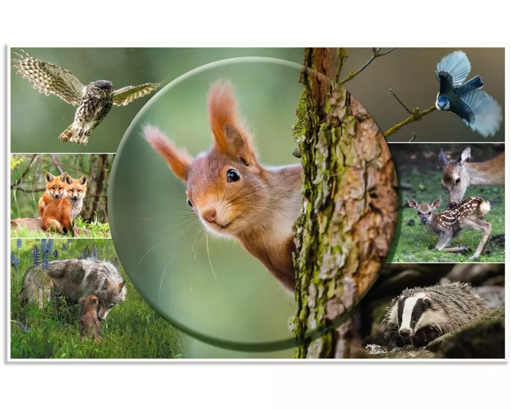 HERMA Schreibunterlage Waldtiere 55 x 35 cm