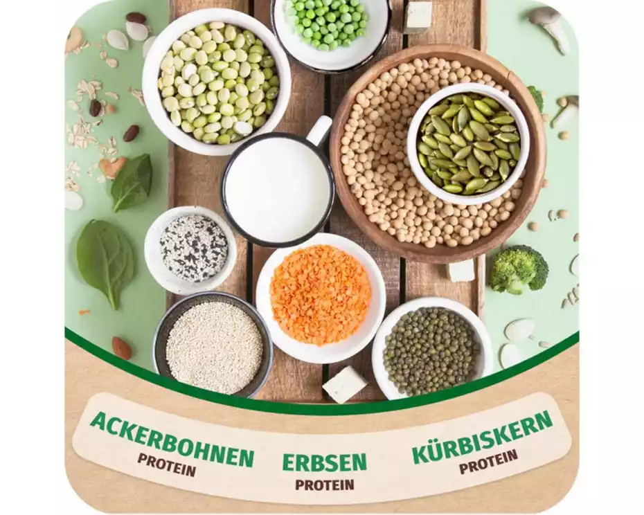 All Stars Pulver Vegan Protein Schokolade & Nüsse 300 g