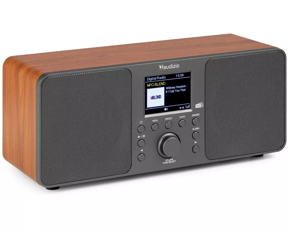 Audizio Genua-DG DAB+/FM Radio mit BT, Stereo, Grau